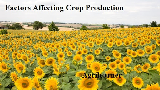 Climatic factors and their effect on crop production